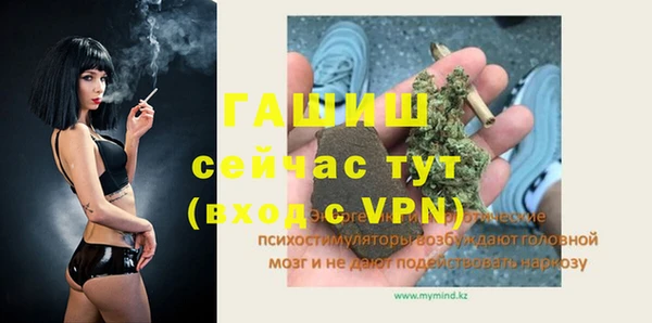 твердый Михайлов