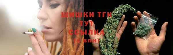 твердый Михайлов