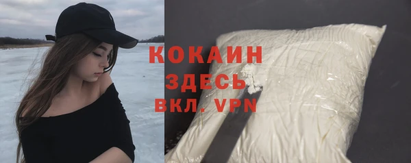 твердый Михайлов
