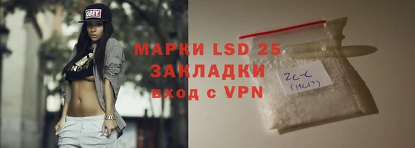 твердый Михайлов