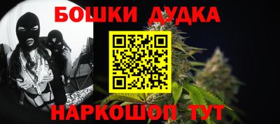 индика Обнинск