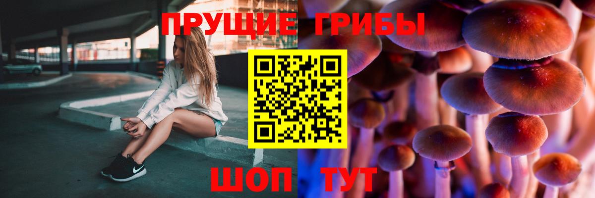 Псилоцибиновые грибы Psilocybine cubensis  Вход с VPN  Урус-Мартан 
